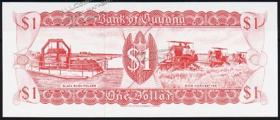 Банкнота Гайана 1 доллар 1992 года.P.21g(1) - UNC - Банкнота Гайана 1 доллар 1992 года.P.21g(1) - UNC