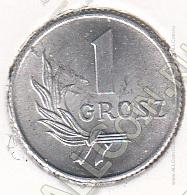2-3 Польша 1 грош 1949 г. Y#39 