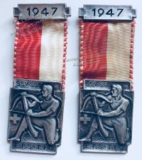 #058 Швейцария спорт Медаль Знаки