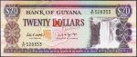 Банкнота Гайана 20 долларов 1989 года. P.27а - UNC