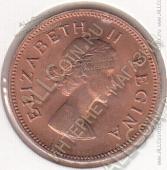 26-5 Южная Африка 1/2 цента 1960г. КМ # 45 UNC бронза  5,6гр.  - 26-5 Южная Африка 1/2 цента 1960г. КМ # 45 UNC бронза  5,6гр. 