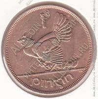 8-151 Ирландия 1 пенни 1952г. КМ # 11 бронза 9,45гр. 30,9мм
