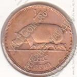 28-128 Ирландия 1/2 пенни 1953г. КМ # 10 бронза 5,67гр. 25,5мм