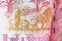 Банкнота Южная Африка (ЮАР) 50 рандов 1992 года. Р.125в - UNC - Банкнота Южная Африка (ЮАР) 50 рандов 1992 года. Р.125в - UNC