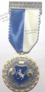  #09 Швейцария спорт Медаль Знаки