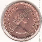 31-180 Южная Африка 1/4 пенни 1959г КМ # 44 бронза 2,8гр.  - 31-180 Южная Африка 1/4 пенни 1959г КМ # 44 бронза 2,8гр. 