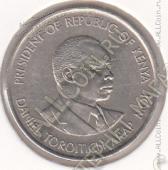 35-28 Кения 50 центов 1980г. КМ # 19 медно-никелевая 4,0гр. 21мм - 35-28 Кения 50 центов 1980г. КМ # 19 медно-никелевая 4,0гр. 21мм
