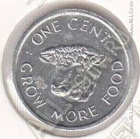 26-66 Сейшелы 1 цент 1972г. КМ # 17 алюминий 0,7гр. 16мм 