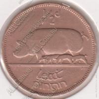 15-156 Ирландия 1/2 пенни 1928г. KM# 2 бронза 5,67гр 25,5мм