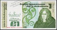 Ирландия Республика 1 фунт 17.07.1989г. P.70d - UNC