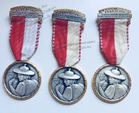 #054 Швейцария спорт Медаль Знаки
