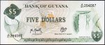 Банкнота Гайана 5 долларов 1989 года. P.22f(2) - UNC
