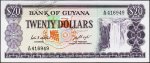 Банкнота Гайана 20 долларов 1983 года. P.24с - UNC