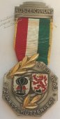 #165 Швейцария спорт Медаль Знаки  - #165 Швейцария спорт Медаль Знаки 